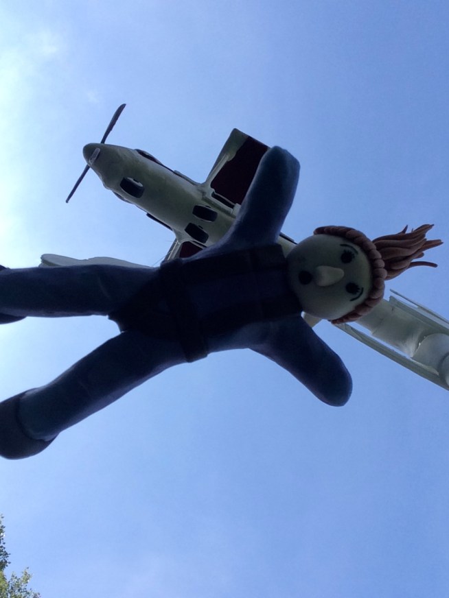 girl from skydiving plane cake