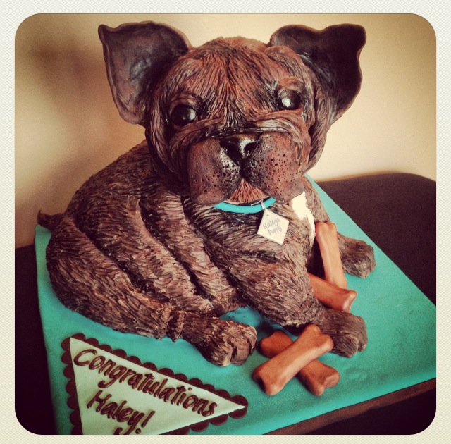 french bulldog dog puppy cake modeling chocolate