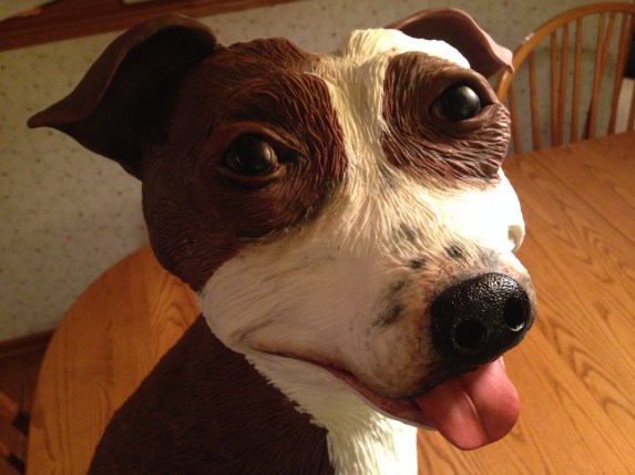 close up of dog face